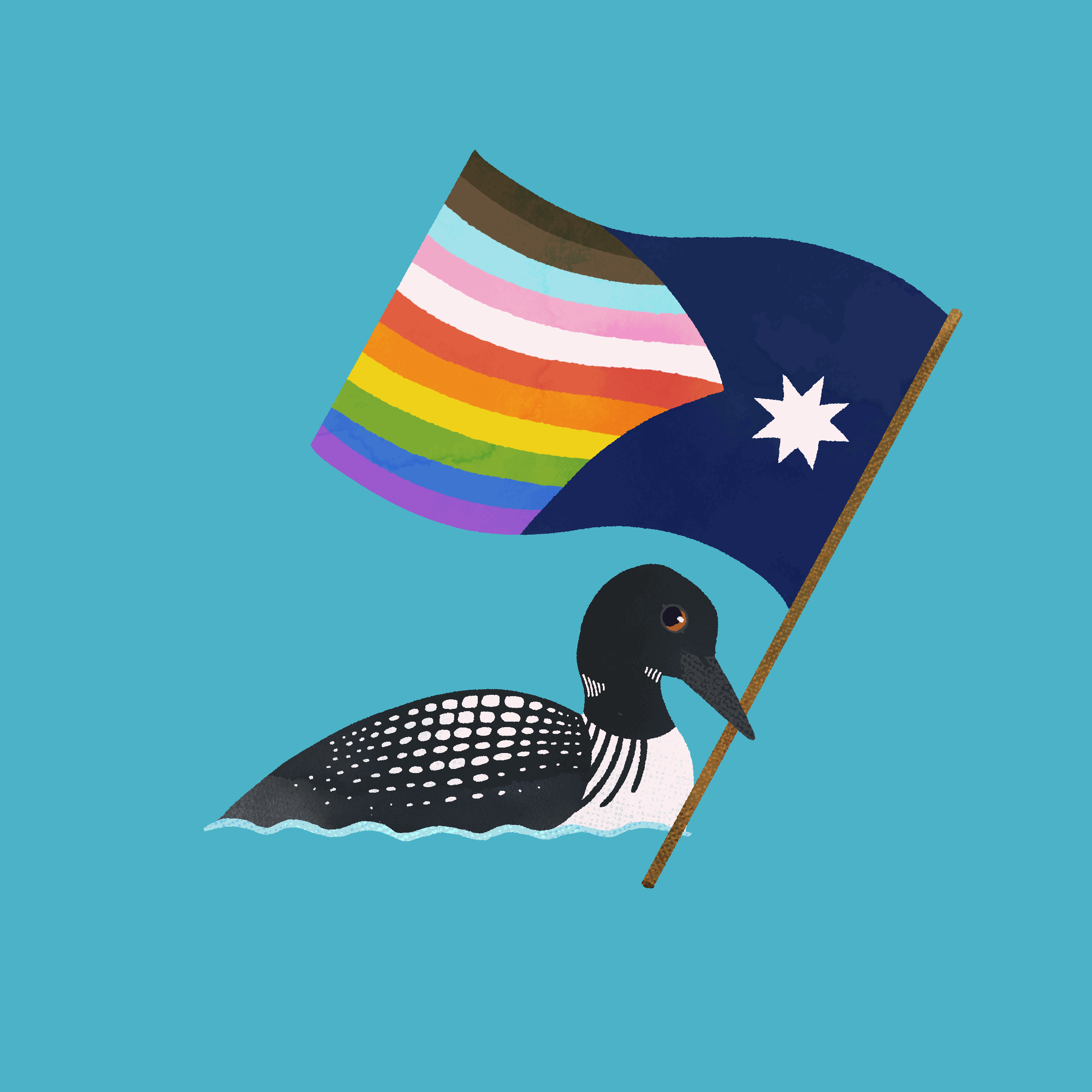 Various illustrations with the Minnesota State Bird, Flower, Bee, and Fish with the Pride Flag